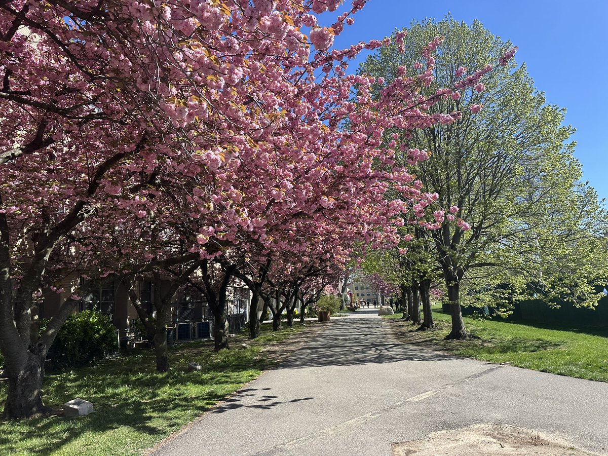 Amazing April day @StJohnsU 🌏💯🌸