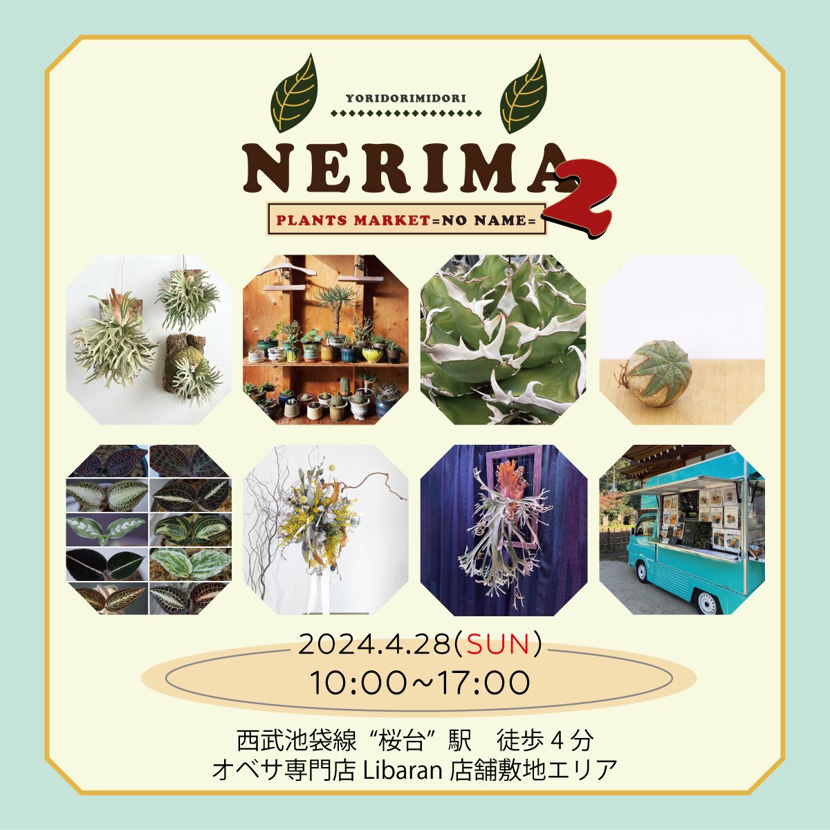 オベサ専門店～Libaran.Plants～ tweet media