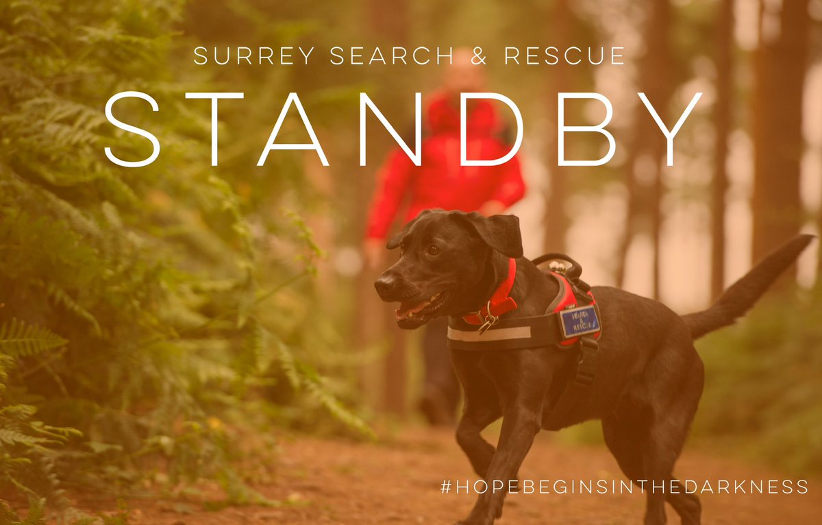 SurreySAR's tweet photo. STANDBY - team on standby to support @SurreyPolice in the West Molesey area. https://t.co/7xpnYVExnp