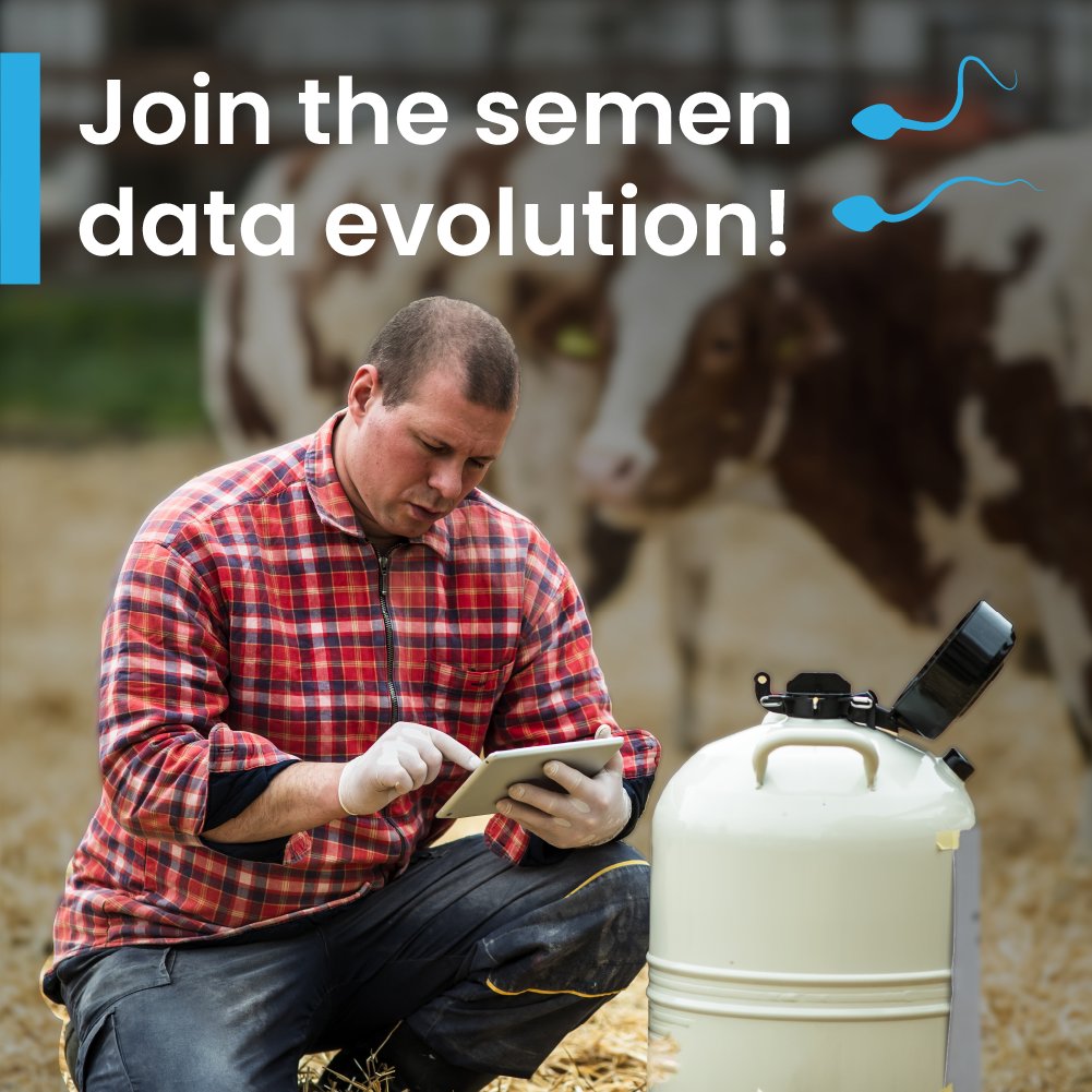 Join a global #research program to explore the relationship between #semen longevity and conception rates in #cattle. Producers who meet the study's requirements may be eligible for compensation of up to £1 per cow for data used. Interested? 
Learn more👉 bit.ly/3Wf62Rj
