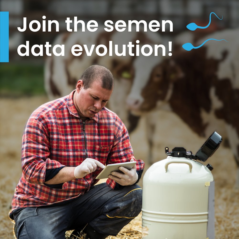 Join a global #research program to explore the relationship between #semen longevity and conception rates in #cattle. Producers who meet the study's requirements may be eligible for compensation of up to £1 per cow for data used. Interested? Learn more👉 bit.ly/3Wf62Rj