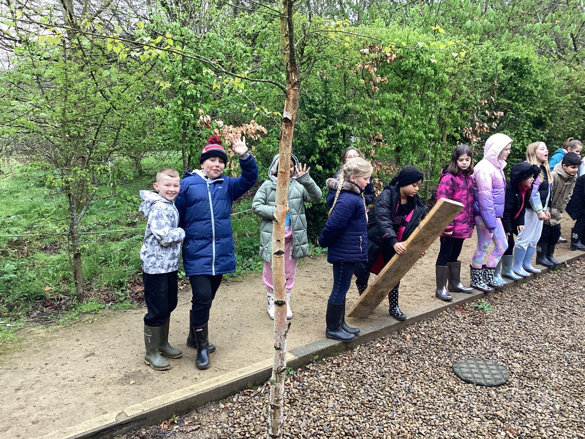 Low Ash Primary tweet media