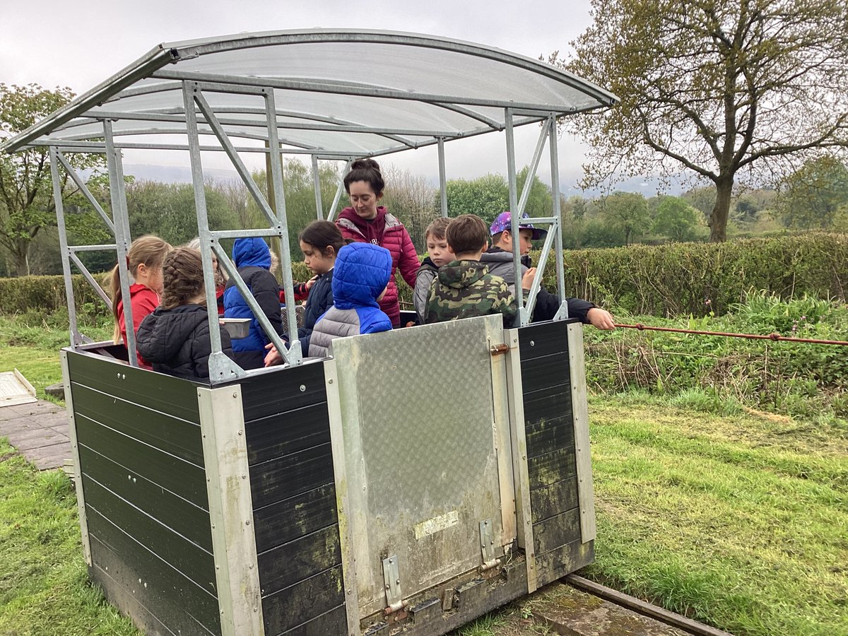 Low Ash Primary tweet media