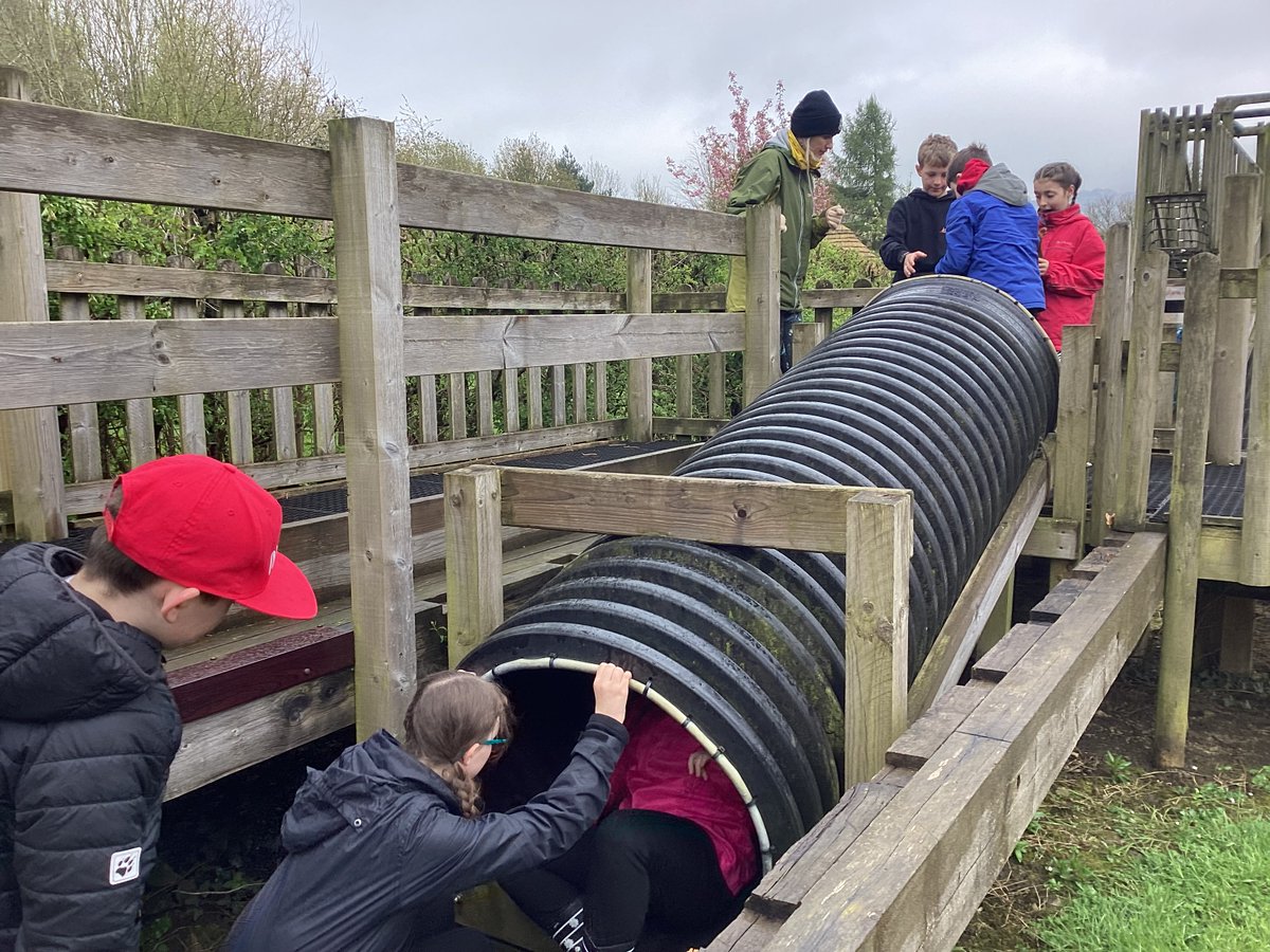 Low Ash Primary tweet media