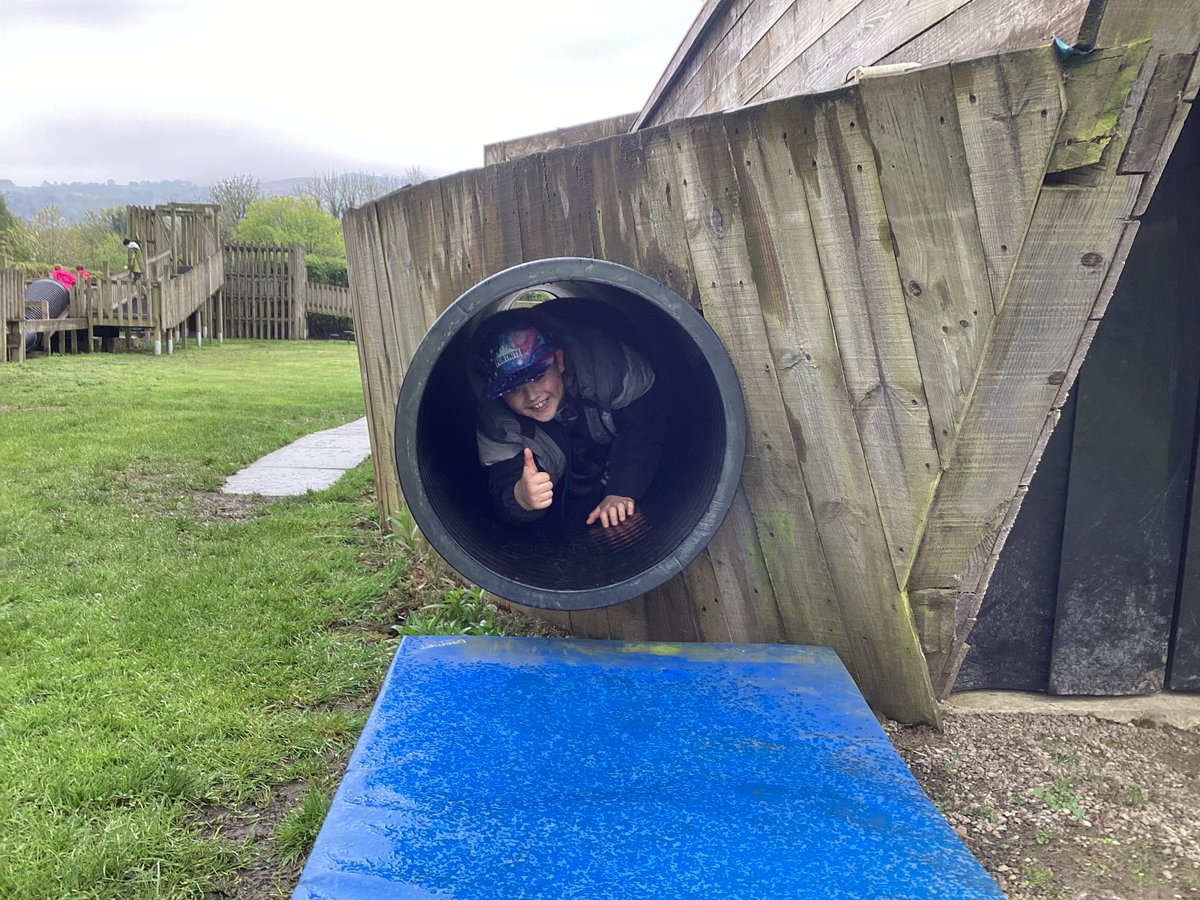 Low Ash Primary tweet media