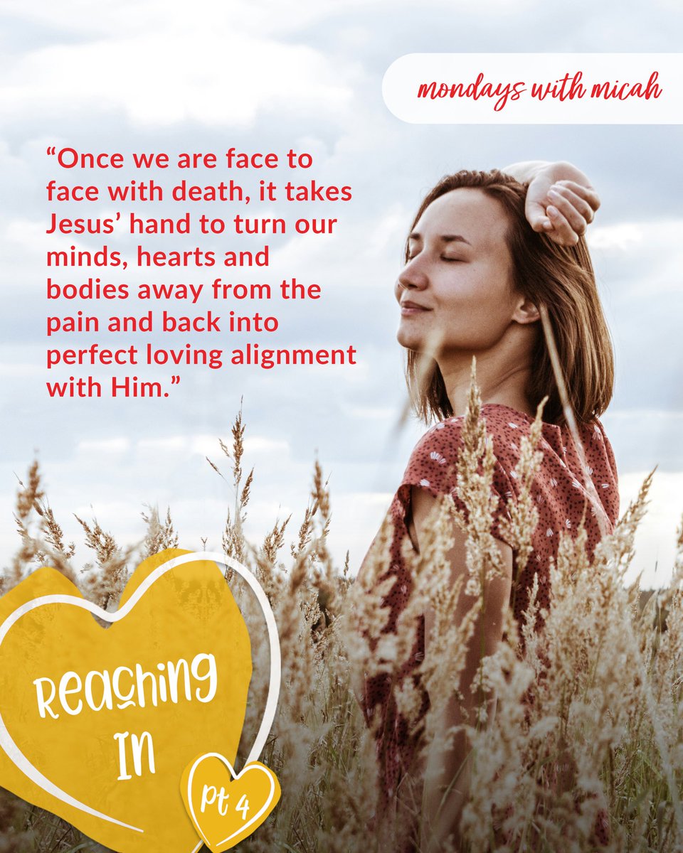 MyMendedHeart's tweet photo. Happy Monday! Part 4 of our Reaching In series is about purpose. Once we are faced with death, it takes Jesus’ hand to turn us away from the pain and back into perfect loving alignment with Him. Read more at https://t.co/7TllORi7uq 

#ReachingIn 
#MondaysWithMicah
#WidowWalk https://t.co/qi9IJjEA0L