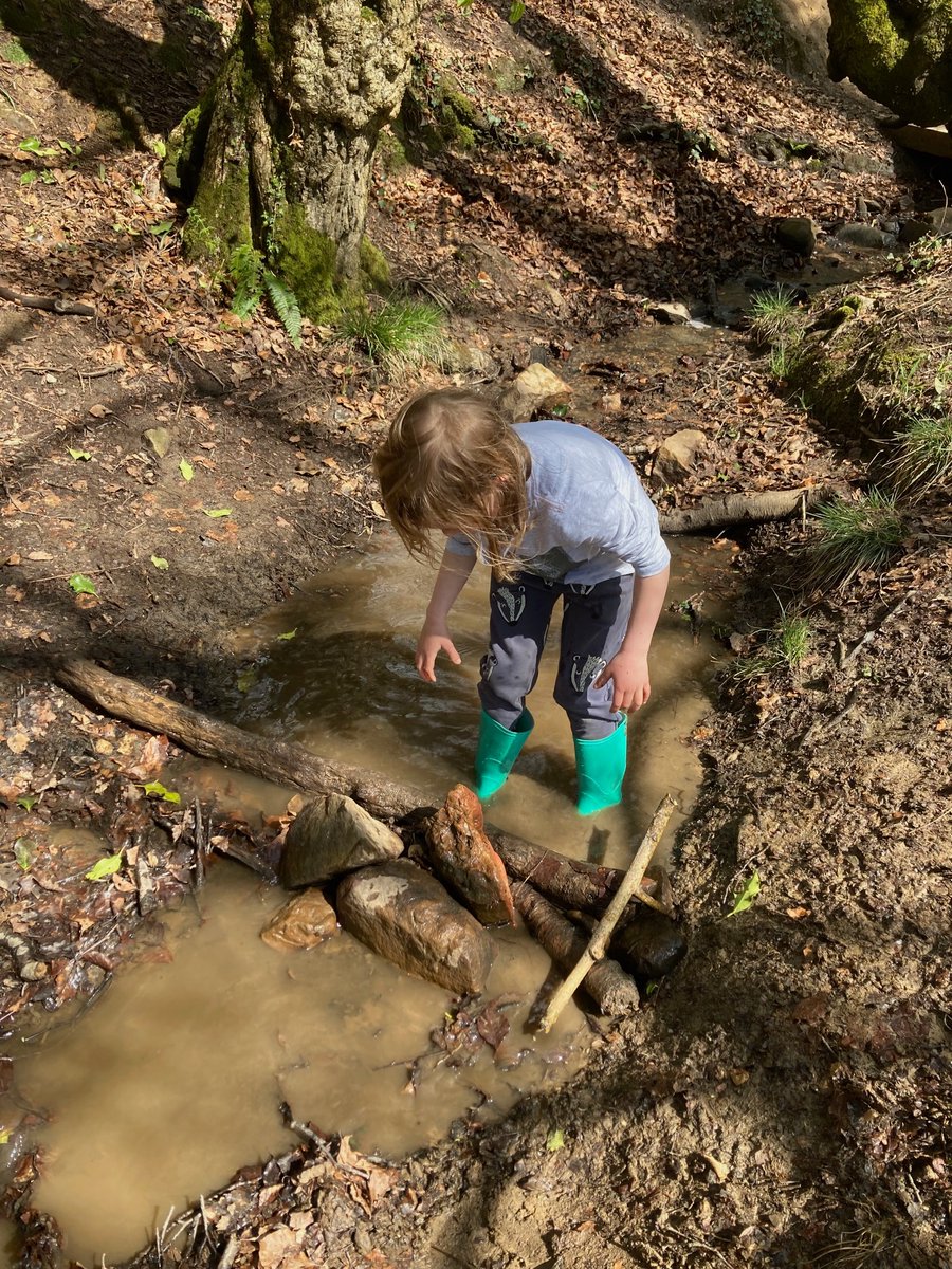 Find your wellies and dig out a raincoat! 💦 Today is the first day of #WalesOutdoorLearningWeek. Check out our free resource pack inspired by Tidy, the illustrated children's book by Emily Gravett🌳 theatriolo.com/tidy-3