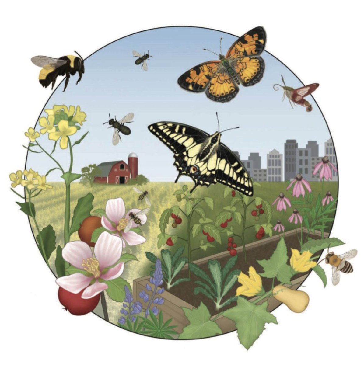 Happy #EarthDay2024 from everyone at #BEEc. The beautiful connections between earth and sky, pollinators and plants, plants and growers should be celebrated and protected on Earth Day and every day. Original Post: IG @ colla_lab Art: Ann Sanderson @annsciart