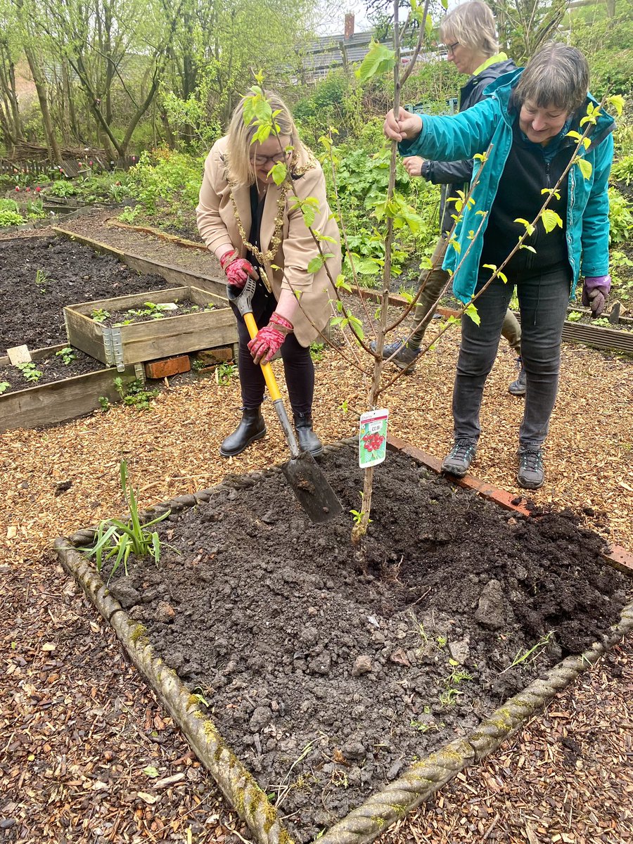 I visited @EdibleRadcliffe who’re growing fruit/veg/salad/herbs & flowers next to Outwood nature trail, Radcliffe. It’s open to volunteers who want to help & open to the public who want to pick & take away. I planted a cherry tree with the team who are doing a great job.