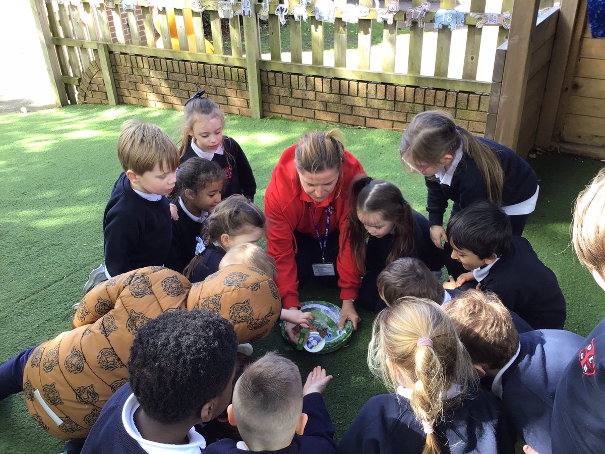 olgheyfs's tweet photo. The children said goodbye to our butterfly. #OLGHeyfs #OLGHscience #lifecycles #butterfly https://t.co/jUg2xpPoBP