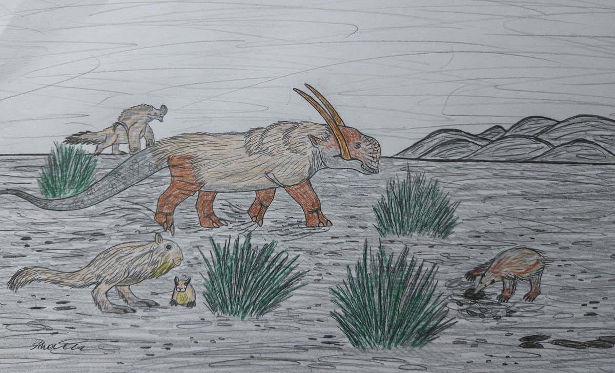 #slee30k
Some fauna of tundra