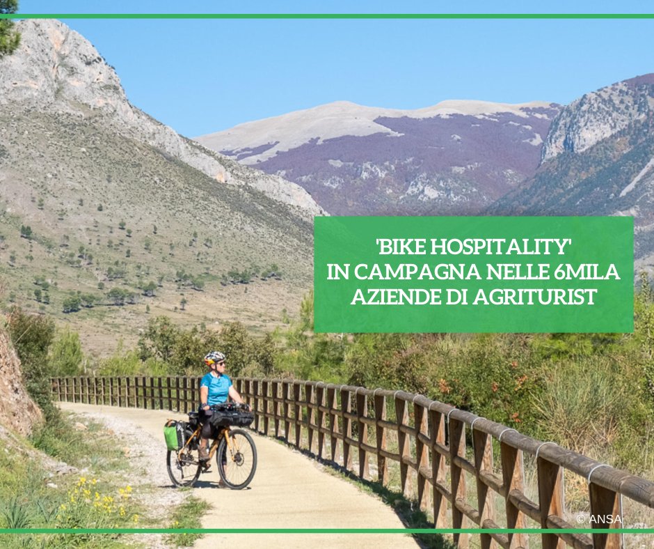 Nasce una collaborazione tra la @Federciclismo e l'Associazione nazionale per l'#Agriturismo di Confagricoltura, per favorire il #turismo in #bicicletta in oltre 6mila aziende aderenti. #ANSATerraGusto ➡ bit.ly/4d0QZAt