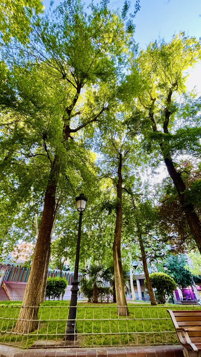 Shabanadawran's tweet image. #todayvibes