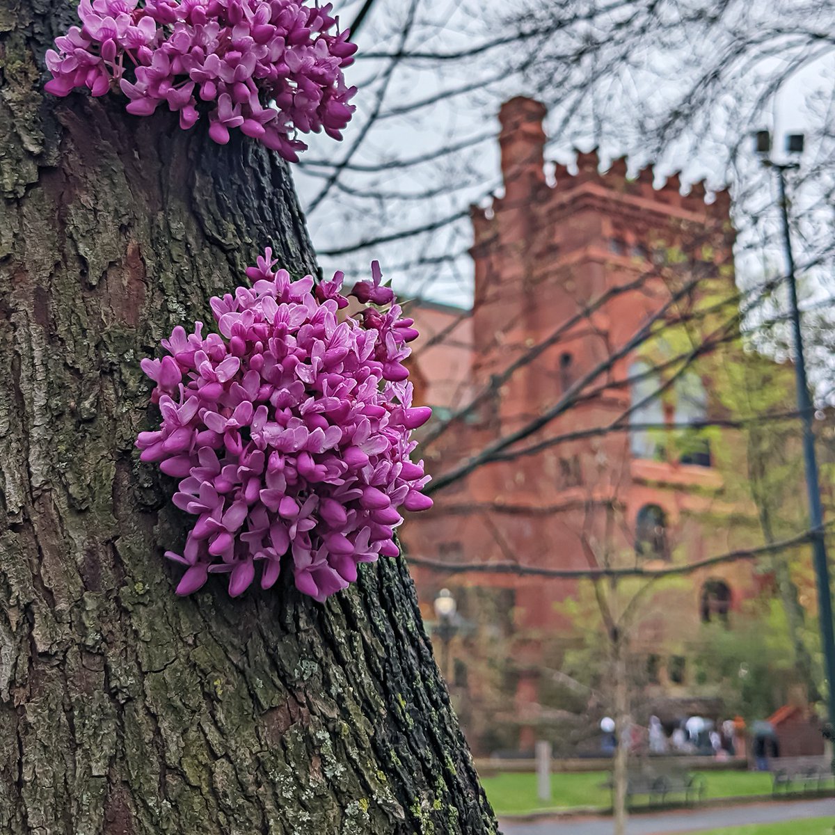 Happy #EarthDay! We’ve got plenty of events happening this week for those who want to celebrate springtime—and those who are looking for some help in the final weeks of the school year! Here’s a look at everything we have going on. library.upenn.edu/events