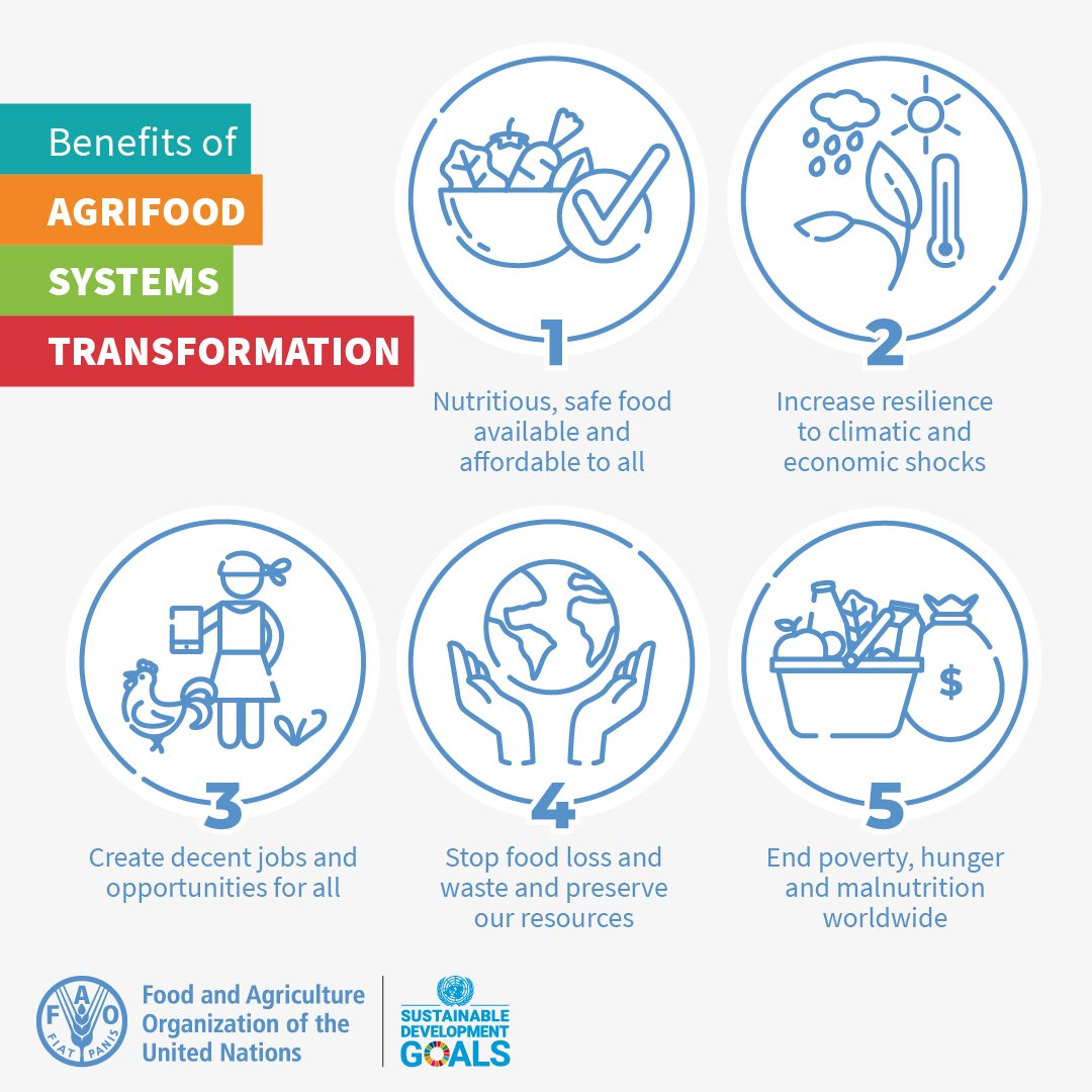 Our lives and our future depend on agrifood systems. Through our food choices we can achieve sustainable systems, but what are the benefits? 👇👇👇 Via @FAONewYork