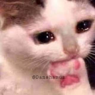 Sinosh0_0's tweet photo. @barhos_ سال ۱۴۵۶: آقاجون داستان این ژیلت چیه این همه مدت داری عوضش کن دیگه
آقاجون: https://t.co/cjAfvvVDOj