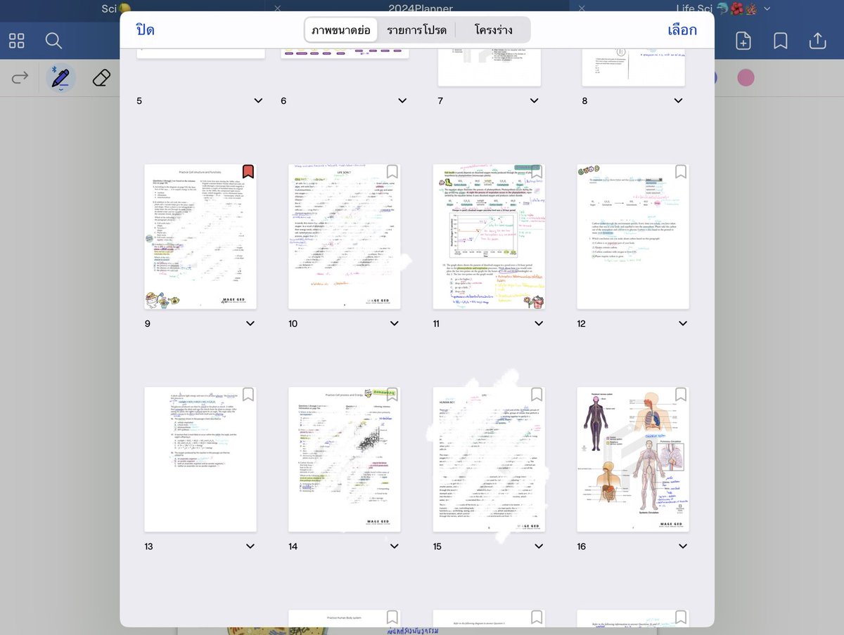 ppwixstudyy's tweet photo. 𐙚 22 April 2024 🍈🧴🏄🏻♀️
𓇼 sci - ขึ้นเรื่องใหม่เรื่องระบบร่างกาย
𓇼 tgat - ท่องศัพท์ / ทำโจทย์
𓇼 soc/thai - วางแผนเรียนกับแม่แจ็ค
แพลนของวันนี้แน่นมาก ปวดหลังปวดตัวไปหมด แต่พอทำครบก็ภูมิใจในตัวเองนะ เก่งที่สุบบ✊🏻💘 อยากเรียนกับแม่แย้วว
#วันนี้dek68ทำอะไร #ppwixstudy https://t.co/jOMcKr9d5L