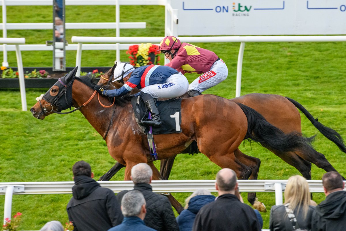 EQUALITY was the winner of yesterday's feature £75,000 @SkyBet Acca Freeze Handicap Stakes. Congratulations to all his winning connections 👏🏻🏆🏴󠁧󠁢󠁳󠁣󠁴󠁿 @KennetValleySyn | @OsborneSaffie | @cbhills