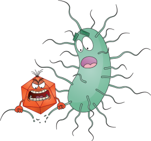 Phages get snappy #ResearchHighlight nature.com/articles/s4157… This study shows that a single-stranded RNA phage binds to the Pseudomonas aeruginosa type IV pilus, leading to phage entry into the cell and the detachment of the pilus, which impairs bacterial motility.