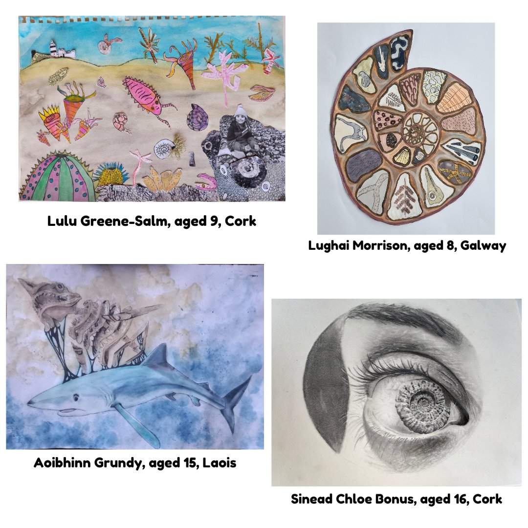 Next up are the winners of 3rd place. Congratulations to Lughaií Morrison, from Galway, Lulu Greene-Salm, from Cork, Aoibhinn Grundy, from Laois & Sinead Chloe Bonus, from Cork. All will receive a set of real fossils and an Ireland’s Fossil Heritage T-Shirt! @glucksman @SEFSUCC