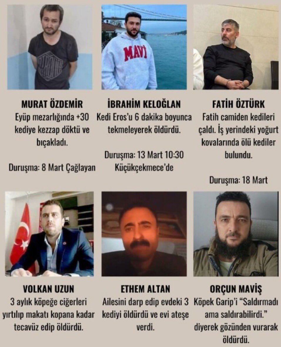 Küçücük kediyi tekmeler ile öldürmüştü.

Kezzap döken, tecavüz eden, öldürüp yoğurt kovalarına koyan ne ararsan var.

Bu adamlar normal mi?
Onlar ceza almayacak da kim alacak? Basit bir soru soruyorum!

#ErosİçinAdalet  #ibrahimkeloğlantutuklansın