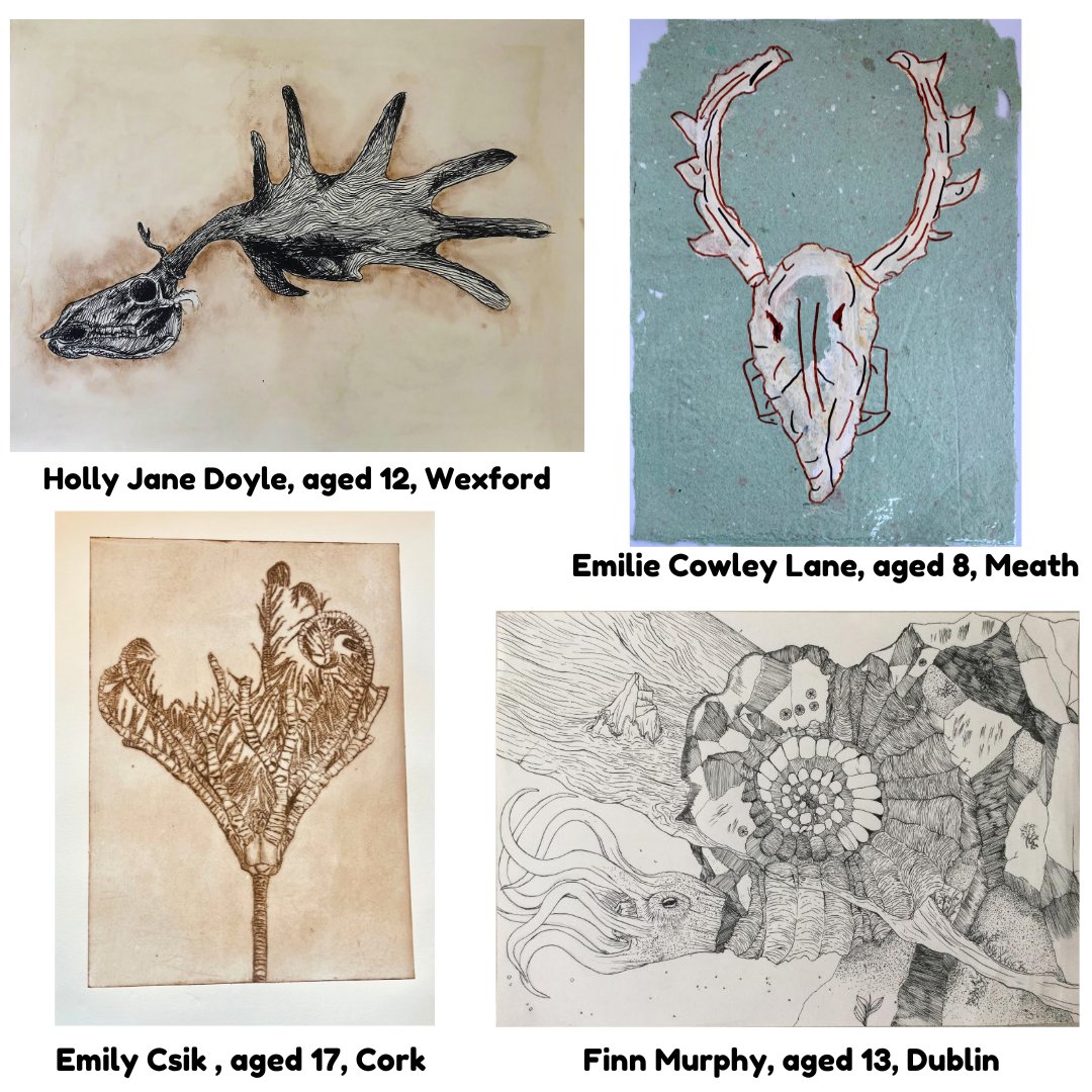 The winners of 2nd place are Emilie Cowley Lane, from Meath, Holly Jane Doyle, from Wexford, Finn Murphy, from Dublin, Aoibhinn Grundy, from Laois & Emily Csik, from Cork. All will receive a framed print of an iconic Irish fossil and a set of real fossils! @scienceirel @uccBEES