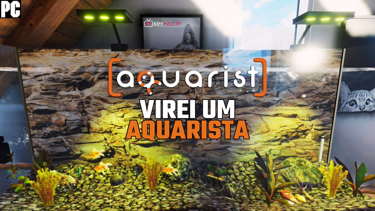 AQUARIST | VIREI UM AQUARISTA (SIMULAÇÃO/CASUAL) | PC GAMEPLAY | PT-BR
youtu.be/dP3BAA77-3g
#aquarist #simulador #casual #keymailer #pcgaming