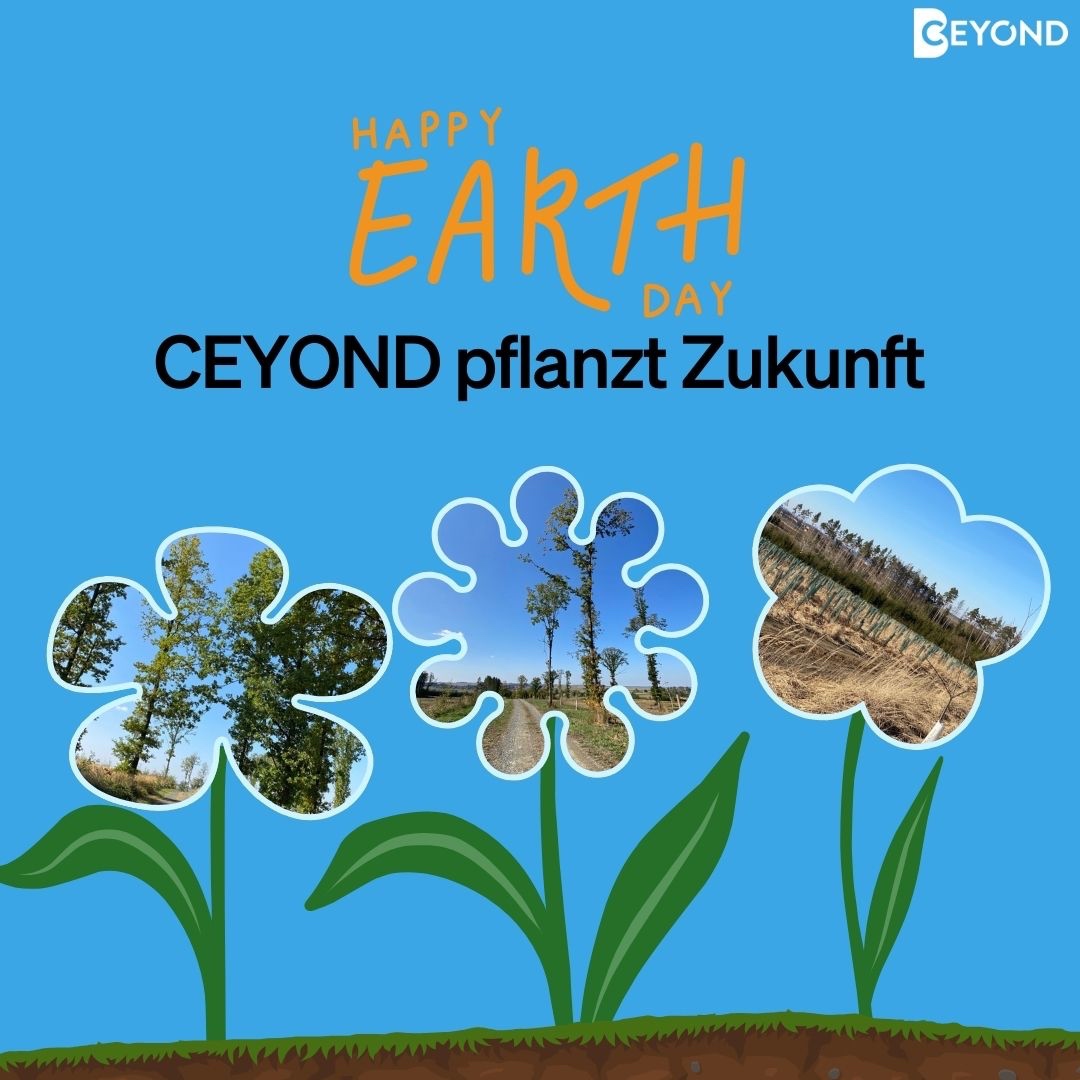 Anlässlich des #EarthDay unterstreicht CEYOND sein Engagement für den Planeten durch die Pflanzung von 528 Bäumen mit Plant-for-the-Planet und lokale Aufforstungsprojekte. 🌍🌱 #Nachhaltigkeit #CO2Reduktion