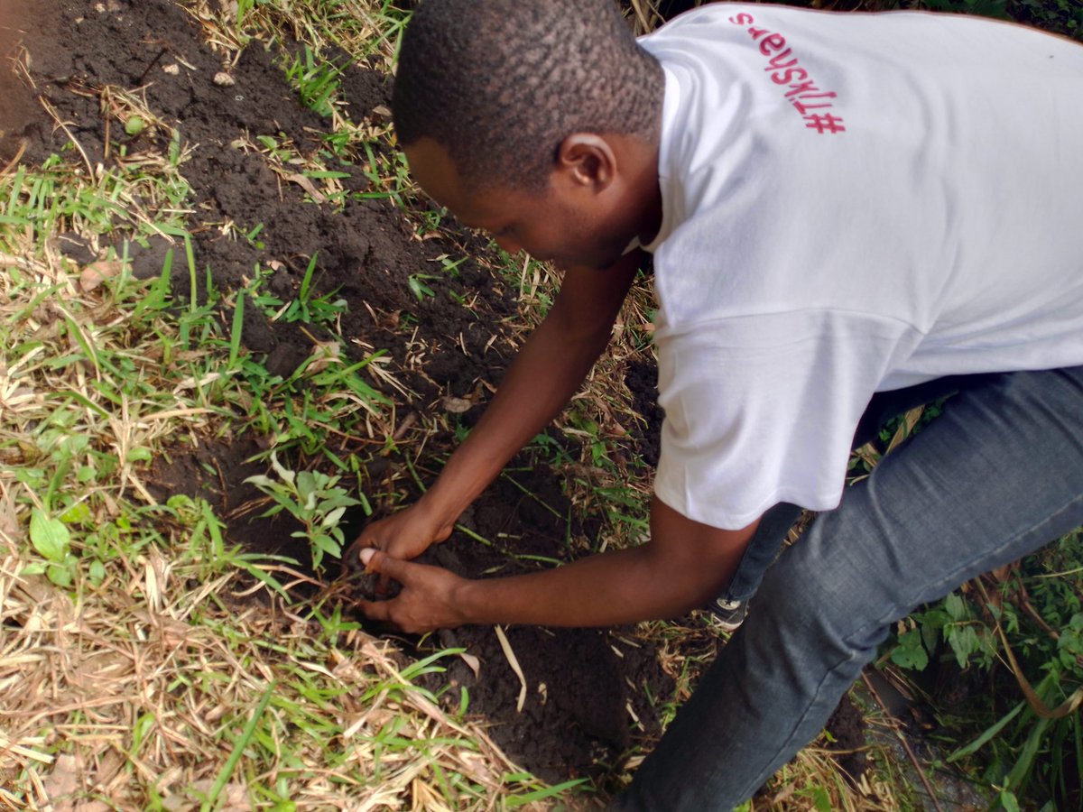 Tuckling issues of climate change by planting a tree. It helps to prepare the environment for modification in the near future. #ClimateAction #ClimateJustice #ClimateActionNow
♻️ demands our absolute efforts and support. @Twejaka
#PlantATree let us all @gogreenconf