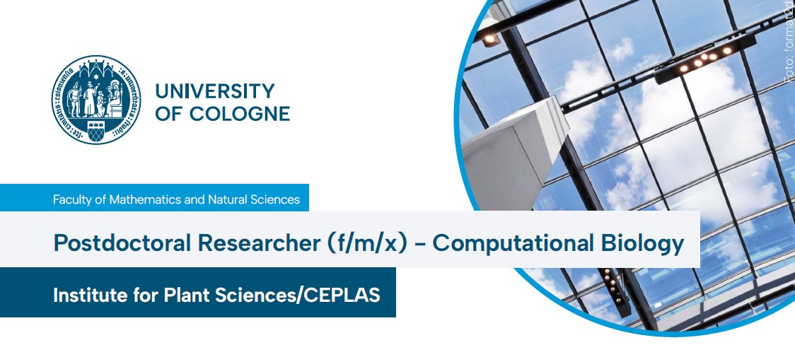 Have a #PhD in #Physics, #Mathematics, or #ComputationalBiology? Become part of the scientific staff as a #Postdoctoral #Researcher @UniCologne’s @ceplas_1 - Cluster of Excellence on #PlantSciences. 🌱Apply by 05/02: 
stellenwerk.de/koeln/jobboers… 

#internationalaffairs