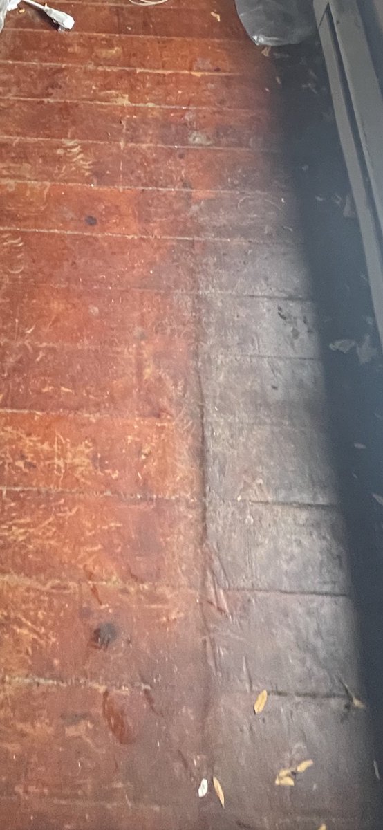 ValueAddGuy's tweet image. One of the hardest things for me about renovating older buildings

Refinish the beat up and uneven hardwood floors, or lay over them?