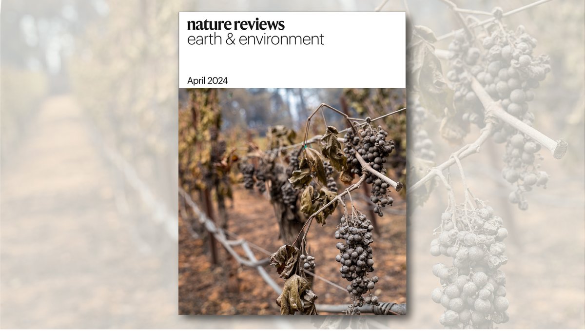 Our bumper April issue is live! On the cover: Climate impacts on wine🍇🍷 Reviews on: - Plant responses to changing rainfall🌧️🌱 - Food production data scarcity🌾📊 - Arsenic in groundwater⚠️🚰 Plus a set of Climate Chronicles for 2023 (inc. editorial)! nature.com/natrevearthenv…