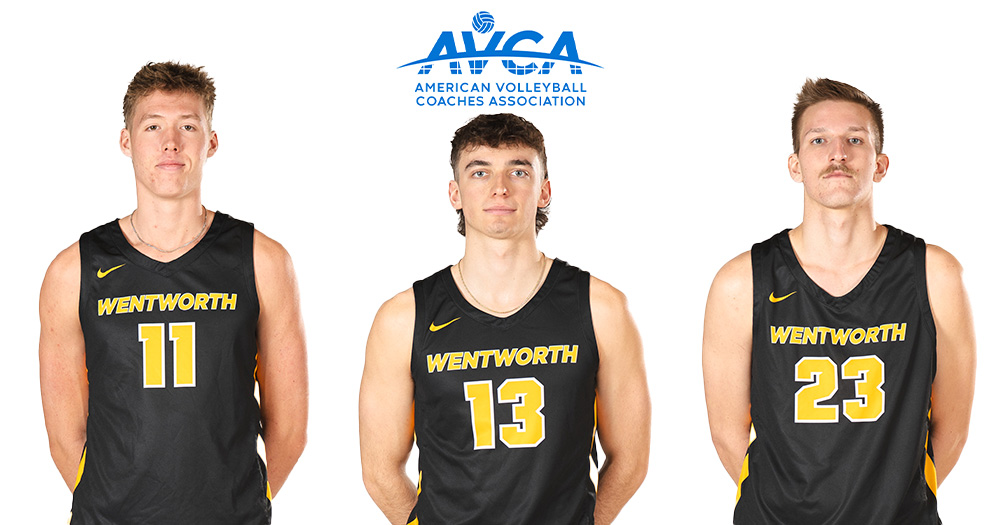LaBouliere, Milke, Dunz Honored as AVCA All-Americans 

wentworthathletics.com/x/fwqfl