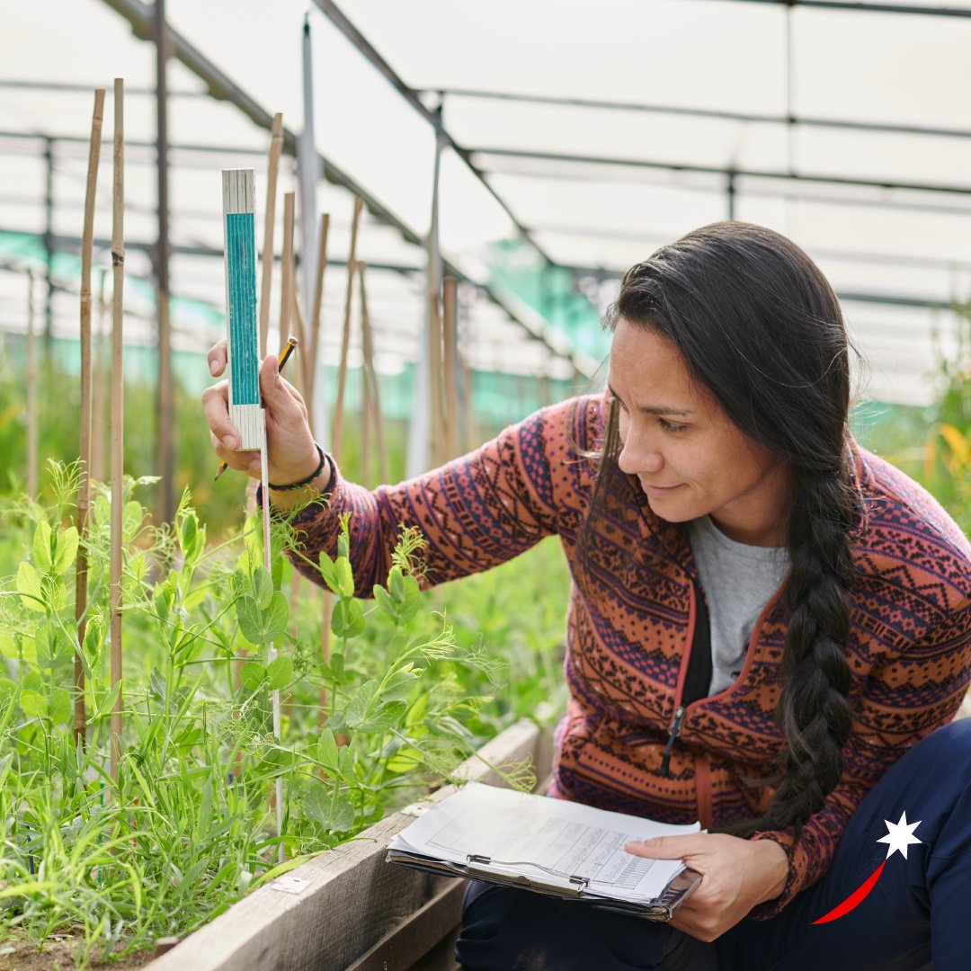 À l'occasion de la #JournéeDeLaTerre, nous réfléchissons à l'impact de nos actions sur la planète. Découvrez le rôle central joué par les prestataires de #ServicesAlimentaires dans la promotion de la #Durabilité au sein de l'industrie alimentaire. > ow.ly/ZAC450RkPPv