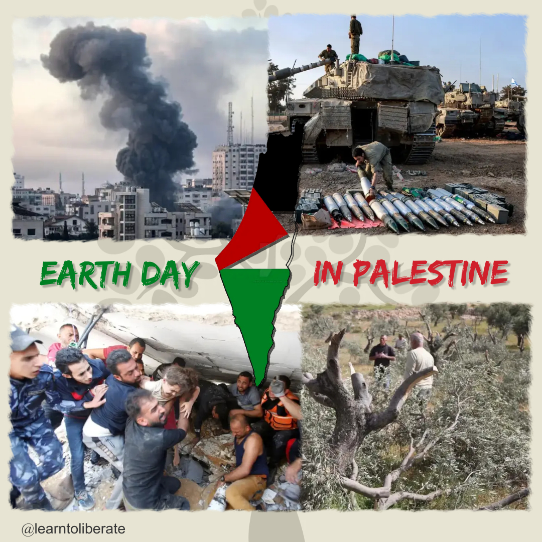 Happy Earth Day, 22 April🌍🧵 In addition to confiscating land and preventing Palestinian citizens from entering it, Israeli settlements in the West Bank and the bombing of Gaza have left devastating effects on all elements of the Palestinian environment. For Earth Day, we