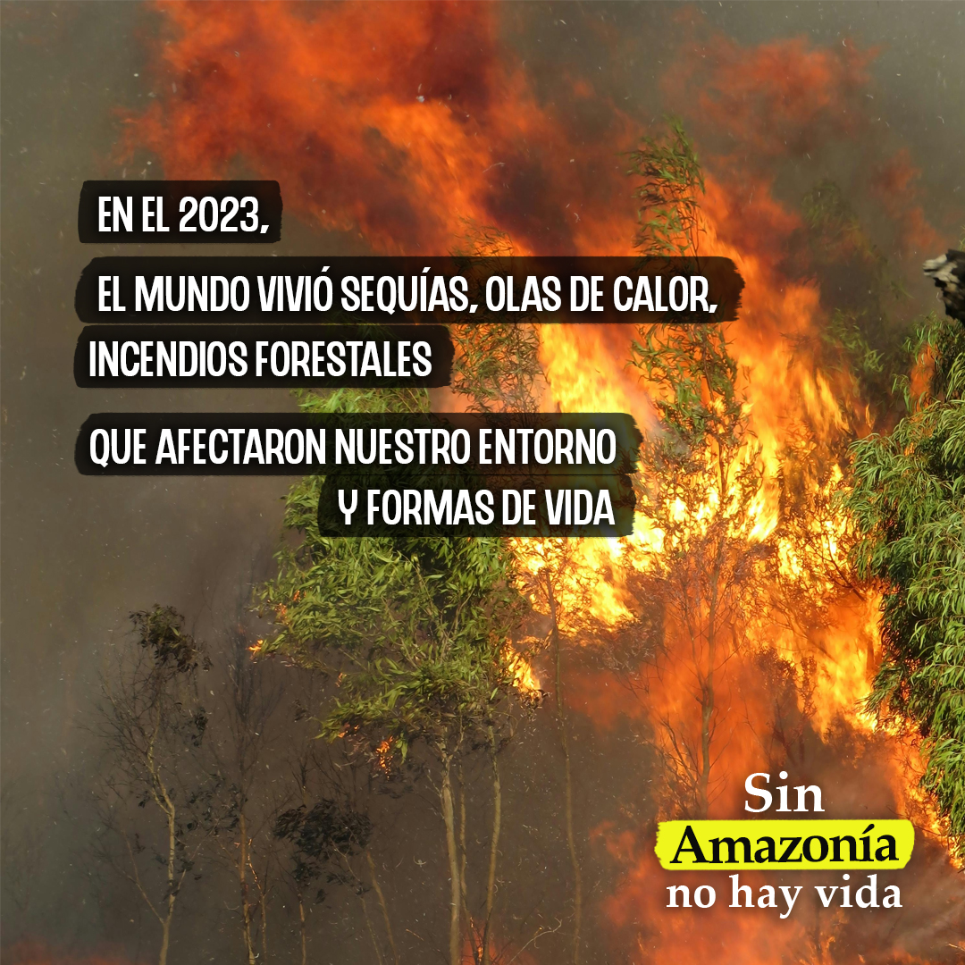 🌿#SinAmazoníaNoHayVida🦎 bit.ly/3TVxhgW En el 2023 sufrimos incendios forestales a causa de las olas de calor. ¿Sabías qué ? La Amazonía contribuye a regular la temperatura 🐸 SÚMATE Y DEFIENDE NUESTRA AMAZONÍA💪bit.ly/4cQsuGd #AwajúnEnDefensaDeLaAmazonía