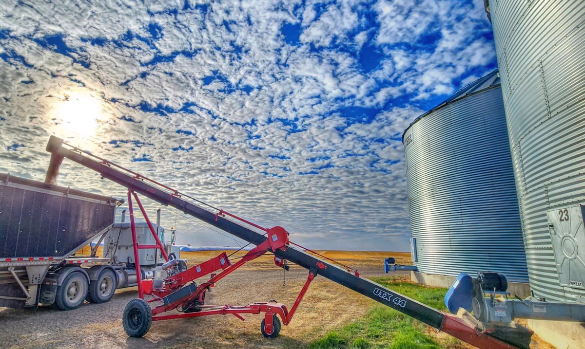 The AGI UTX in action on the Leguee Farm near Fillmore, Saskatchewan. Thanks, @SarahLeguee for sharing this great pic! 📸 We'd love to see your AGI products at work this growing season! Tag us in your posts to be featured on our channels. #seed24 #plant24 #GrainHandling #AgX