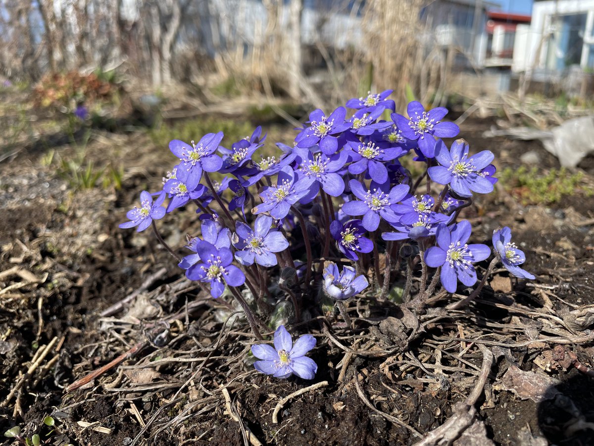 Páll Jökull | Photo guide in #Iceland tweet media
