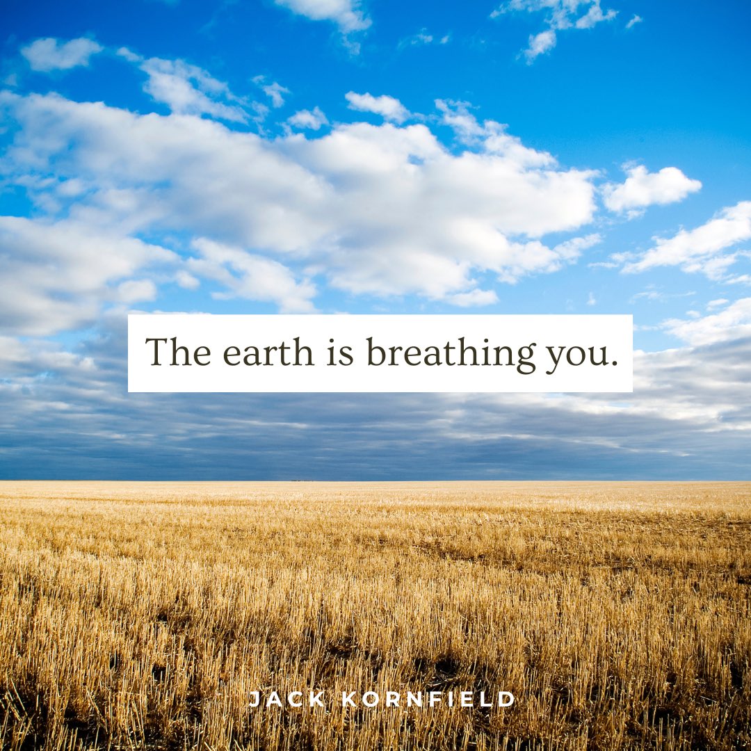 Happy Earth Day. 🌏 Remember: the earth is breathing you. 🌬️🌾⛅️ #meditate #breath #breathe #mindfulness #meditation #yogi #yoga #consciousness #spiritualpath #nature #earth #earthday #earthday2024