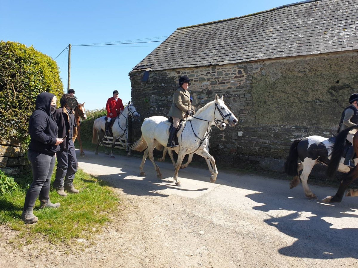 Wiltshire Hunt Saboteurs tweet media