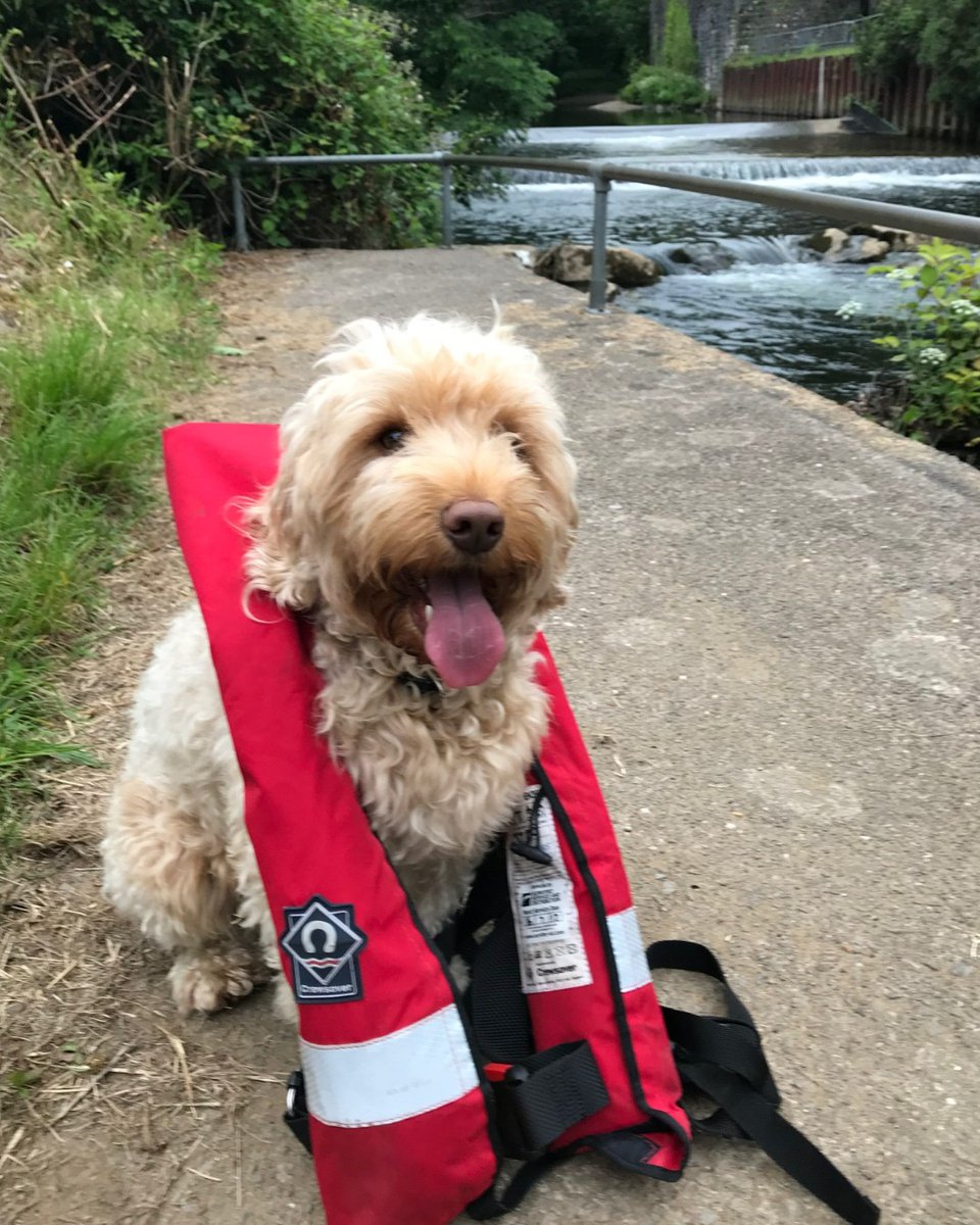 🐶💦 Never enter the water to rescue your dog.

Most dogs are able to scramble out but many owners are not so lucky.

#BeWaterAware #RespectTheWater