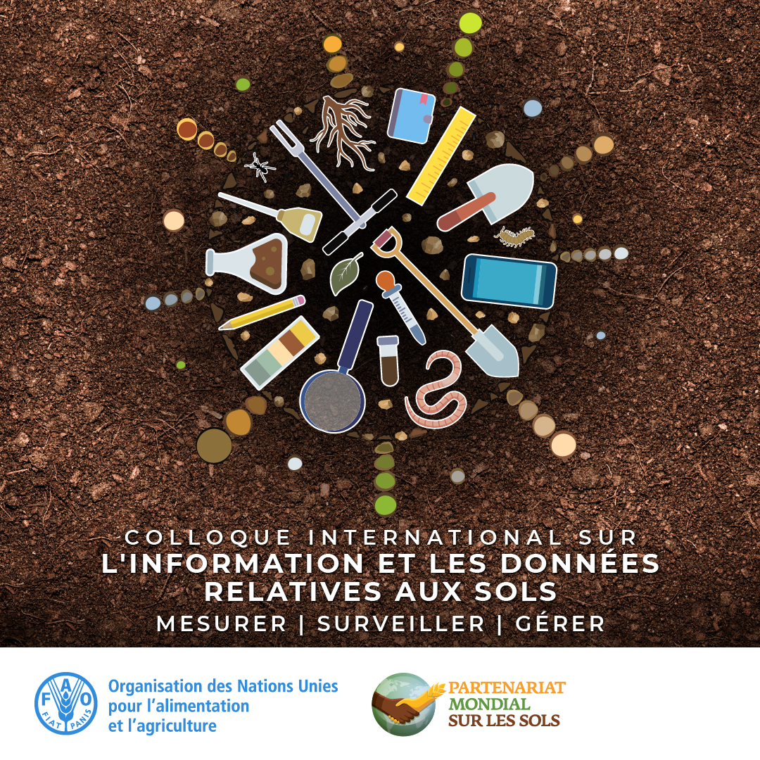 FAOenFrancais's tweet photo. 🔴 Inscrivez-vous au Colloque international sur l'information et les données relatives aux sols, qui se tiendra à Nanjing, en Chine. 

Plus d'infos ➡️ https://t.co/yXZuKE9fhm 

#SoilData #SantéDesSols #GSID2024 https://t.co/woln4QqoOo