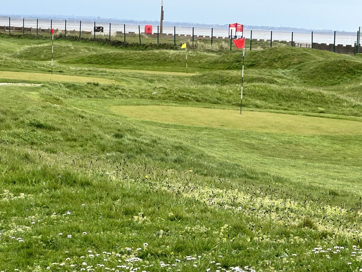 Little links golf course looking great! 🏌️‍♂️⛳️🔥 #lythamstannes #golfcourse #littlelinksgolf #golfmates #golfmates #linkgolfuk #golfers