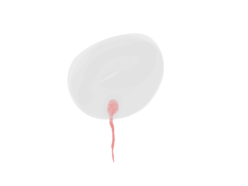 inˈsepSH(ə)n <a href="/zero________one/">zeroone 🔺</a> ˈhapē ərTH dā