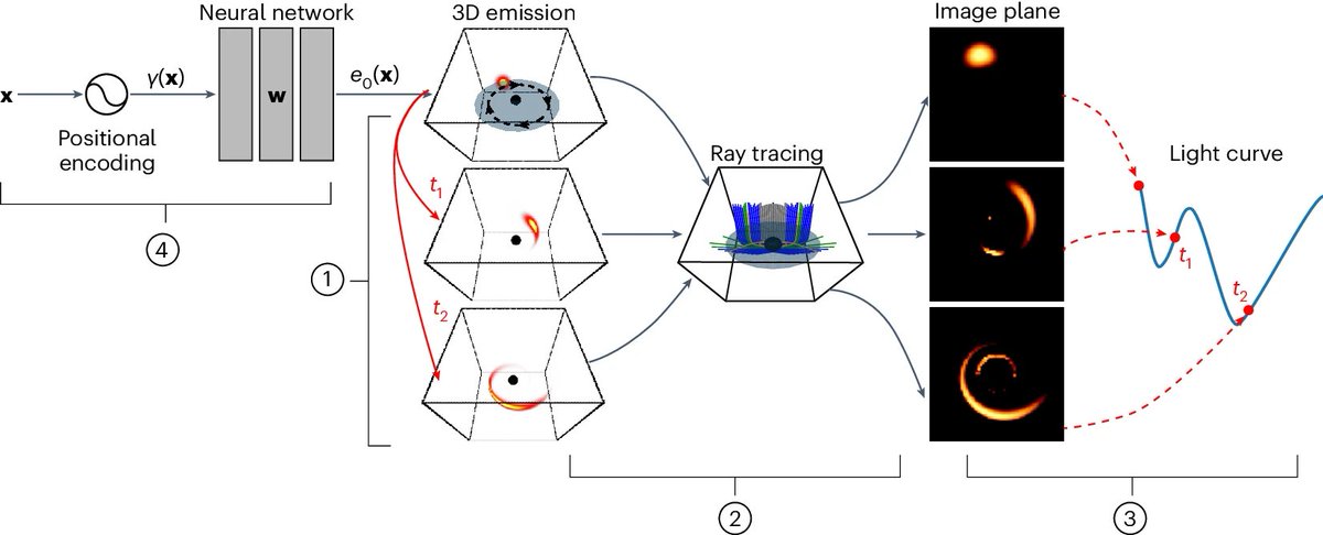 .@aviadlevis et al. reconstruct a 3D image of a bright flare orbiting the black hole Sagittarius A*. This image is computationally recovered from @almaobs lightcurve data by constraining a neural network with a gravitational model of black holes: nature.com/articles/s4155…