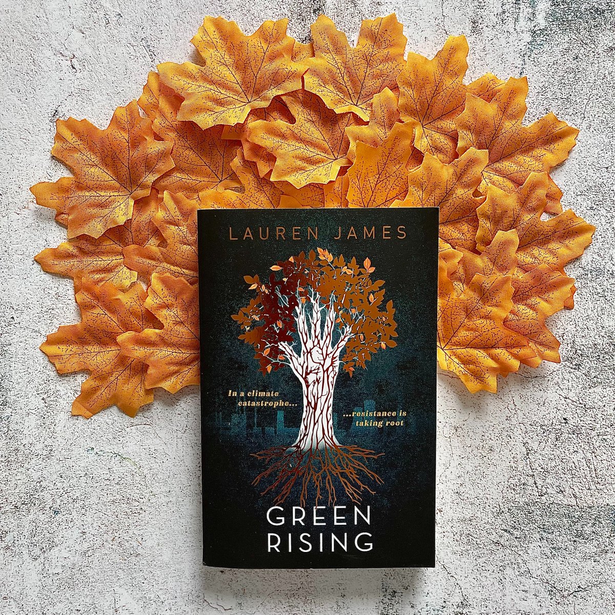 In a climate catastrophe ... resistance is taking root. Looking for the perfect YA read for #EarthDay2024? #GreenRising by @Lauren_E_James is a gripping, witty and romantic call to arms. “A whip-smart tale that asks big, bold questions of how we can save the planet.” - @LR_Lam