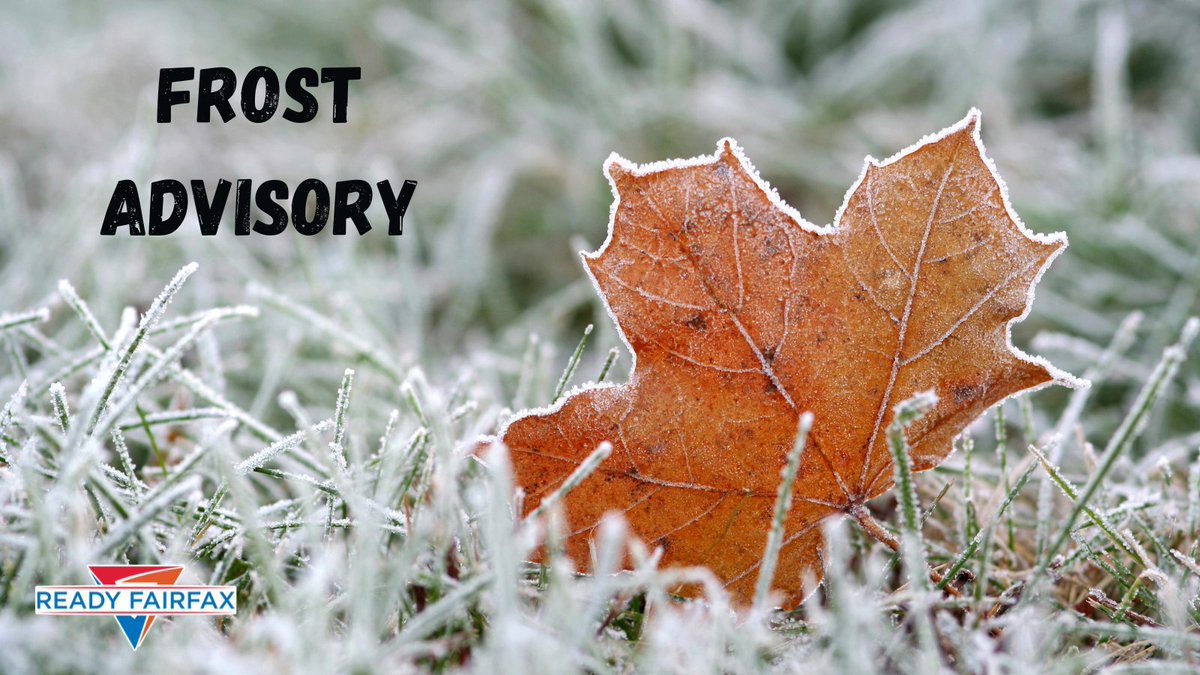 [4/22 at 10:47 PM] The NWS has issued a Frost Advisory from Tuesday, 4/23 at 2 AM till 8AM. Frost could damage outdoor vegetation and cause roadways to become slick. Take precautions for outdoor plants and while driving.