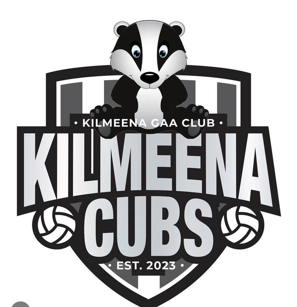CUBS ACADEMY IS BACK!! 🏁🐼 All boys and girls from 4-8 years are welcome to join Kilmeena Cubs Academy 🏐 Starting back this Thursday 24th April at 6pm ⏰🗓️ Sign up for membership on foireann.ie 🏁 #kilmeenagaa #kilmeenagaa2024 #kilmeenacubsacademy