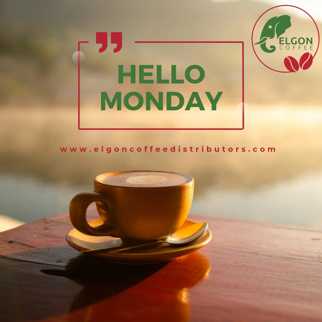 Happy New Week!☕️

Talk to us on +1 413 486 0002  or visit our website elgoncoffeedistributors.com
 #elgoncoffee #kenyancoffee #specialtycoffee