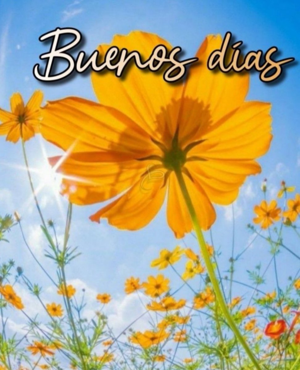 🍃🌹Victoria Bell🌹🍃 (@kevicky_1511) on Twitter photo #22Abr | 🇻🇪 📢🌞¡FELIZ LUNES!
▶️#BloqueaElBloqueo
¡No podrán con un Pueblo Unido!
<a href="/Mariang1Agube/">❤️Mariangel Agube❤️</a> <a href="/edalge/">@edalge</a> <a href="/EricCue5/">Eric Cue</a>
<a href="/Eliza04083981/">Eliza ✌🏼😉</a> <a href="/CarlonchoGV/">Carlos González</a> <a href="/ber72/">Prncsa Ana</a>
<a href="/639xiomara/">xiomara</a> <a href="/cres_pao/">DraPaoCres</a> <a href="/CubaniaTotal/">Cubania Total</a>
<a href="/RayDCuba23/">RayDCuba🇨🇺</a> <a href="/Suleiman4Sultan/">Sultán Suleiman 🤝#DeZurdaTeam🇨🇺</a> @_3Pao <a href="/gendarmeria53/">Alexis J.Cabrera 20k 😎🐳</a> <a href="/IrysAnjel/">Angel Irys</a> #22Abr | 🇻🇪 📢🌞¡FELIZ LUNES!
▶️#BloqueaElBloqueo
¡No podrán con un Pueblo Unido!
<a href="/Mariang1Agube/">❤️Mariangel Agube❤️</a> <a href="/edalge/">@edalge</a> <a href="/EricCue5/">Eric Cue</a>
<a href="/Eliza04083981/">Eliza ✌🏼😉</a> <a href="/CarlonchoGV/">Carlos González</a> <a href="/ber72/">Prncsa Ana</a>
<a href="/639xiomara/">xiomara</a> <a href="/cres_pao/">DraPaoCres</a> <a href="/CubaniaTotal/">Cubania Total</a>
<a href="/RayDCuba23/">RayDCuba🇨🇺</a> <a href="/Suleiman4Sultan/">Sultán Suleiman 🤝#DeZurdaTeam🇨🇺</a> @_3Pao <a href="/gendarmeria53/">Alexis J.Cabrera 20k 😎🐳</a> <a href="/IrysAnjel/">Angel Irys</a>